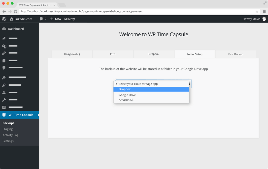 WP Time Capsule Image