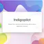 Indigopilot
