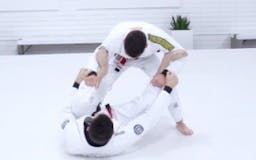 Mendes Bros Online Jiu Jitsu Training Program media 1