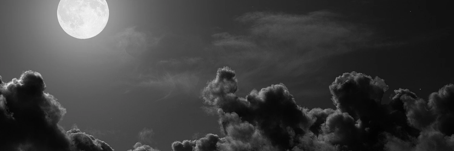 Vu Nguyen Thai cover