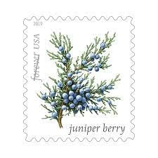 Winter Berries Postage Stamps media 3