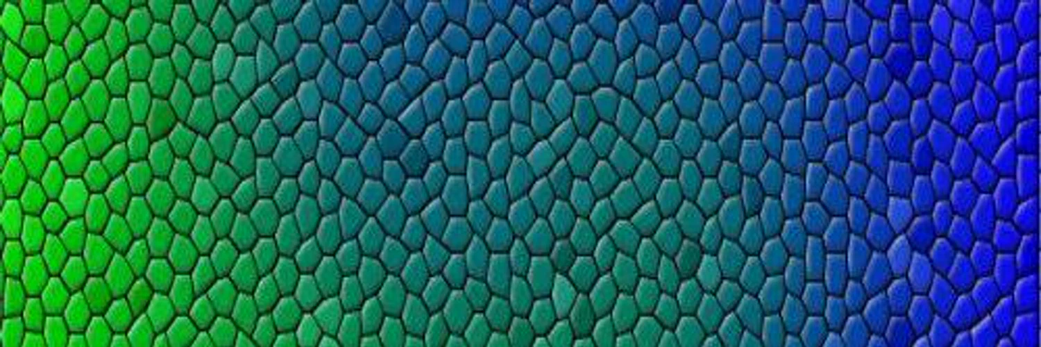 Faisal Qureshi cover