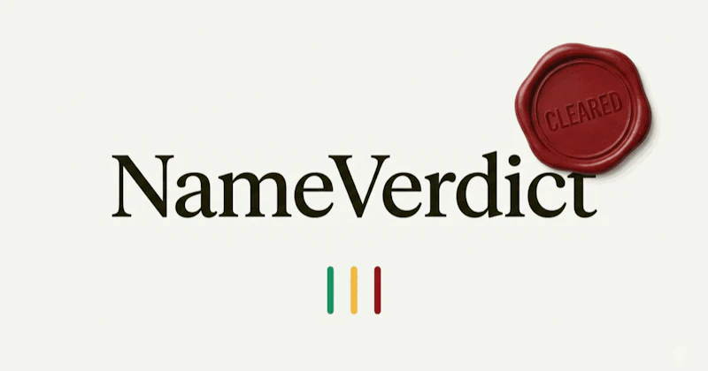 NameVerdict screenshot 1