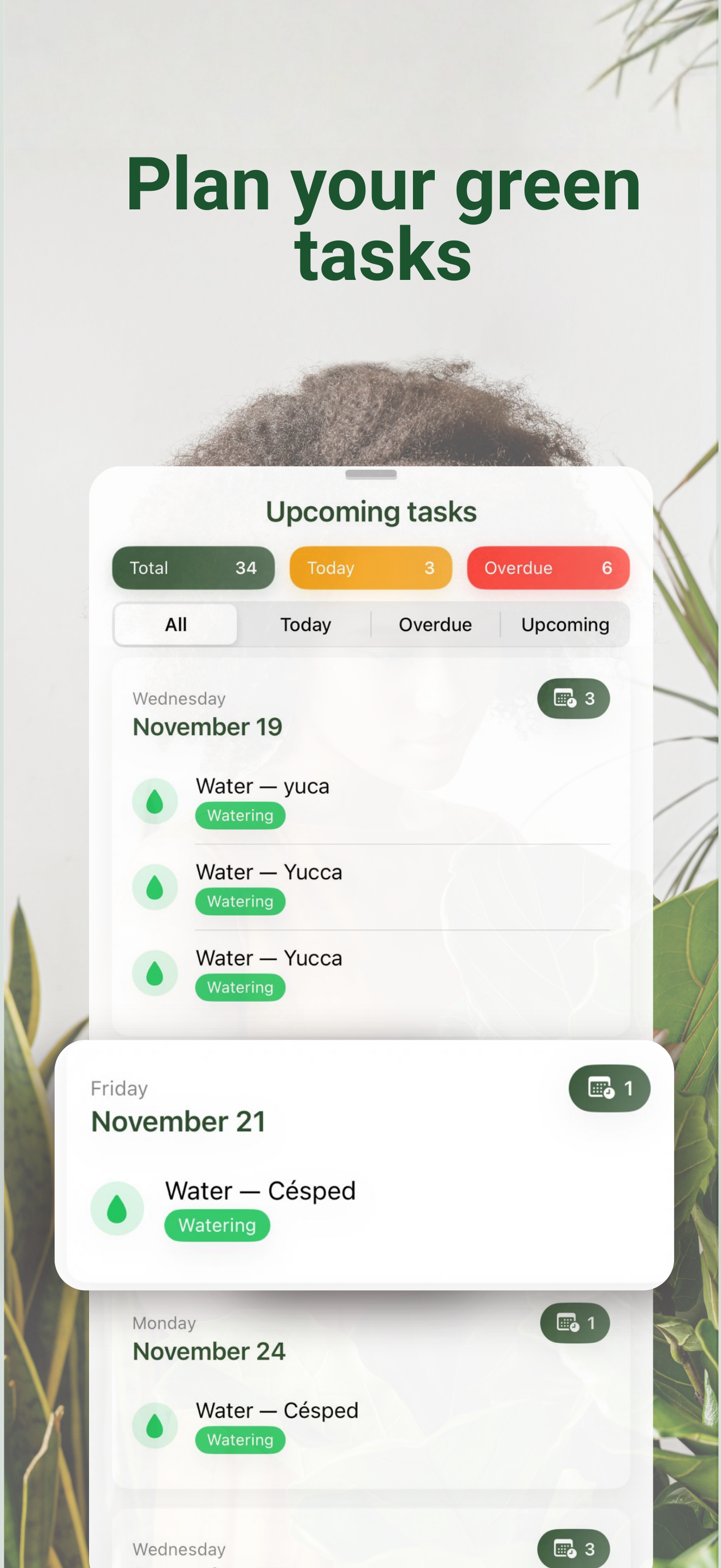 Broticola - Plant diagnostics with AI gallery image