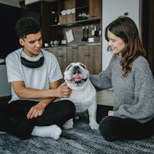 Respiray gallery image