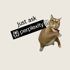 Just Ask Perplexity