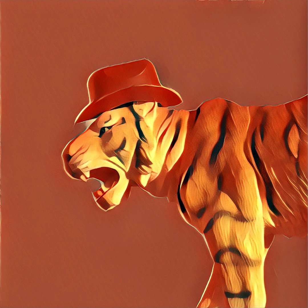 Stefan Aichholzer cover