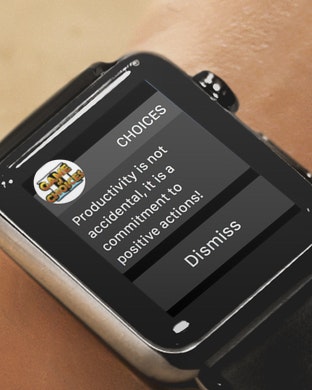 GAME OF CHOICES II gallery image