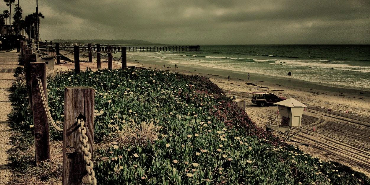 Joelle Goldman cover