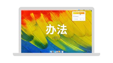 Backwords gallery image