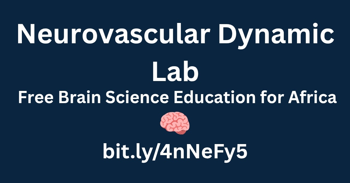 Neurovascular Dynamic Lab gallery image