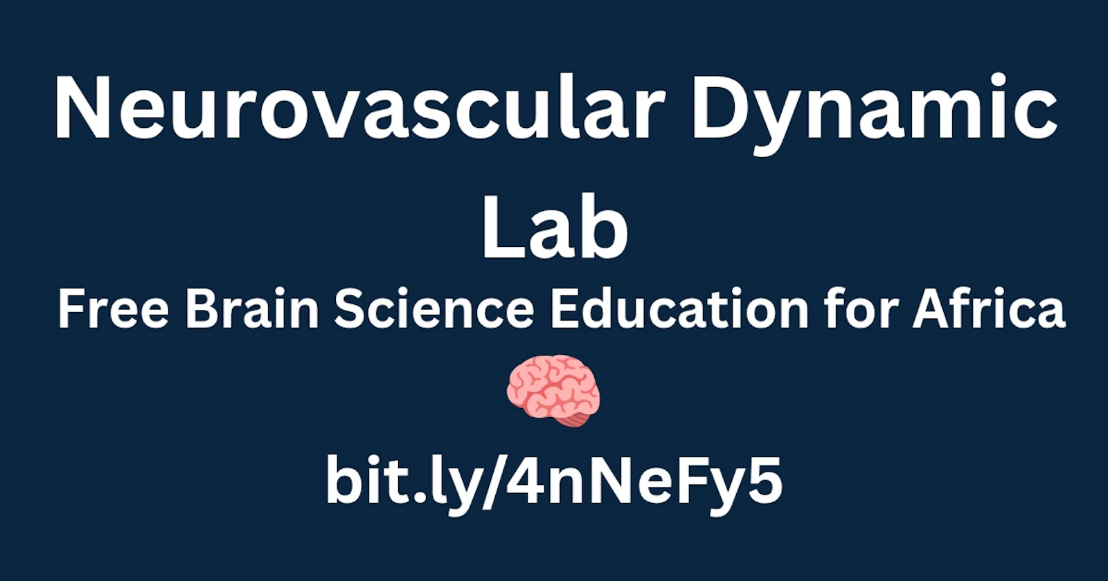 Neurovascular Dynamic Lab screenshot 3