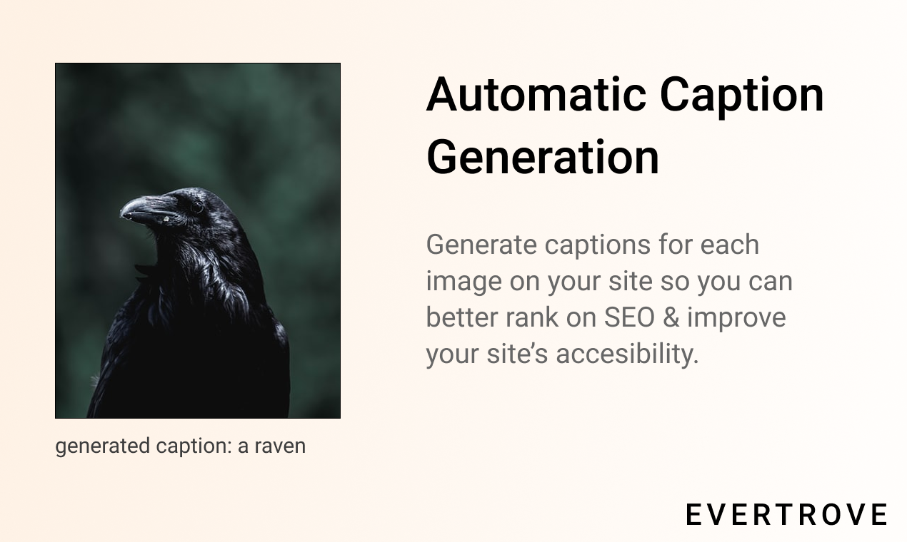 Evertrove gallery image