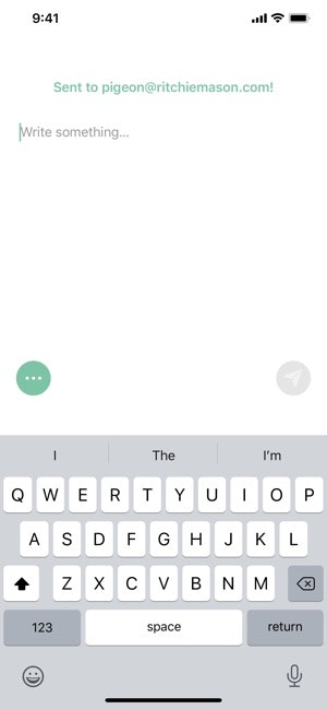 Pigeon gallery image