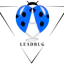 Leadbug Omt