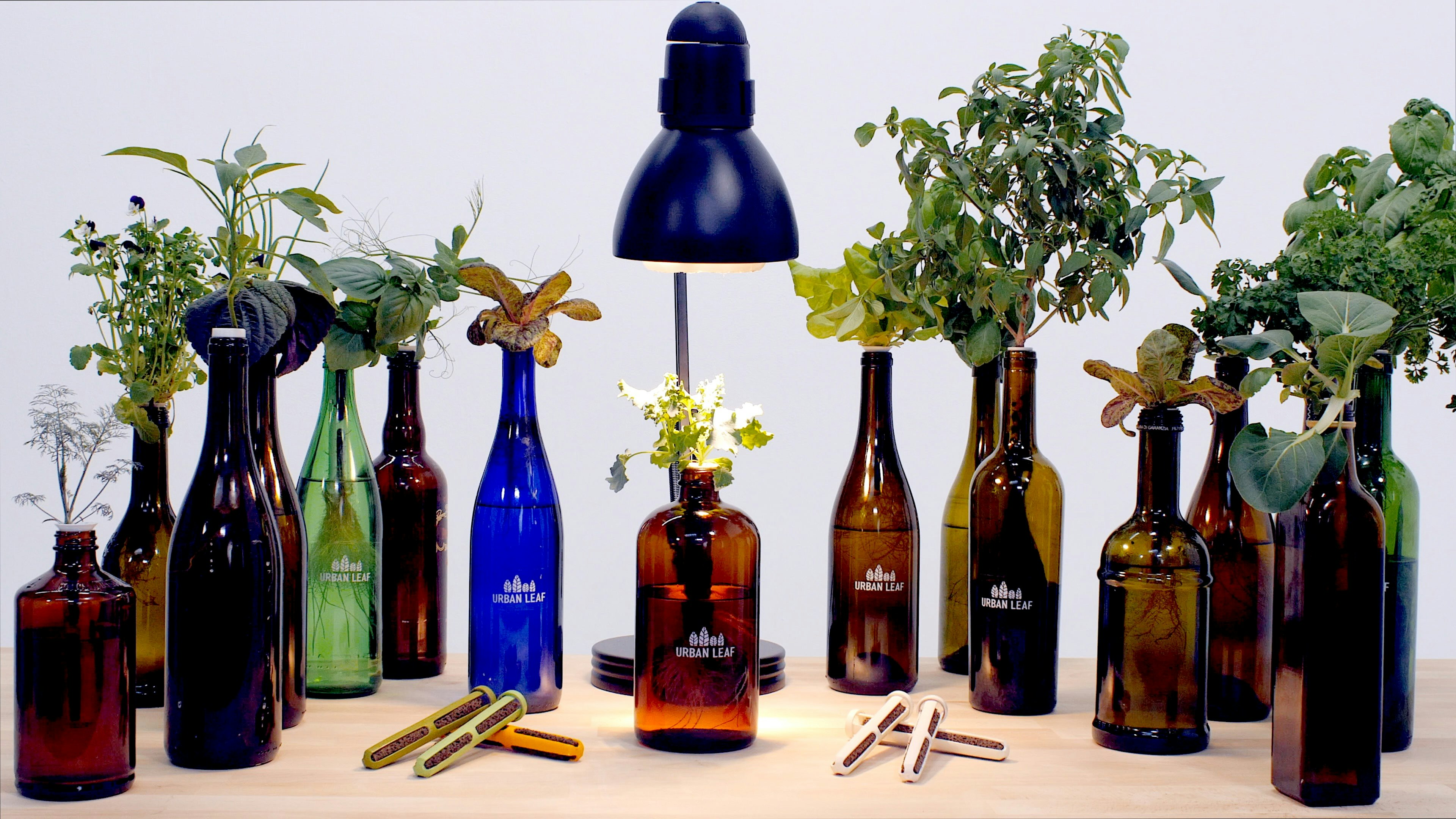 World's Smallest Garden