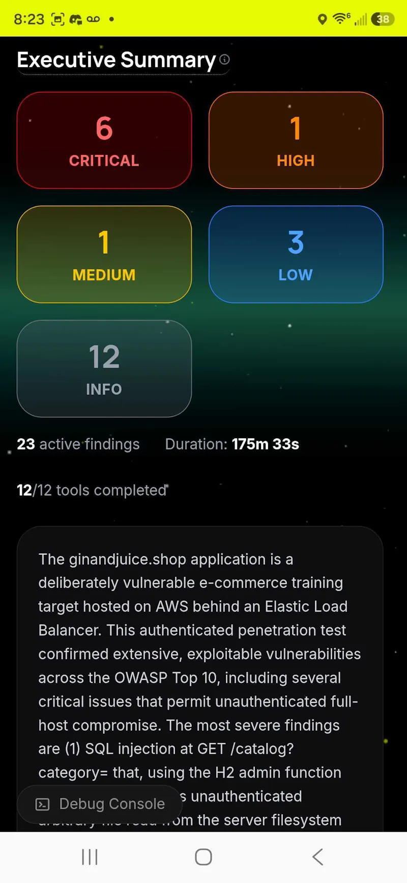 TurboPentest screenshot 6