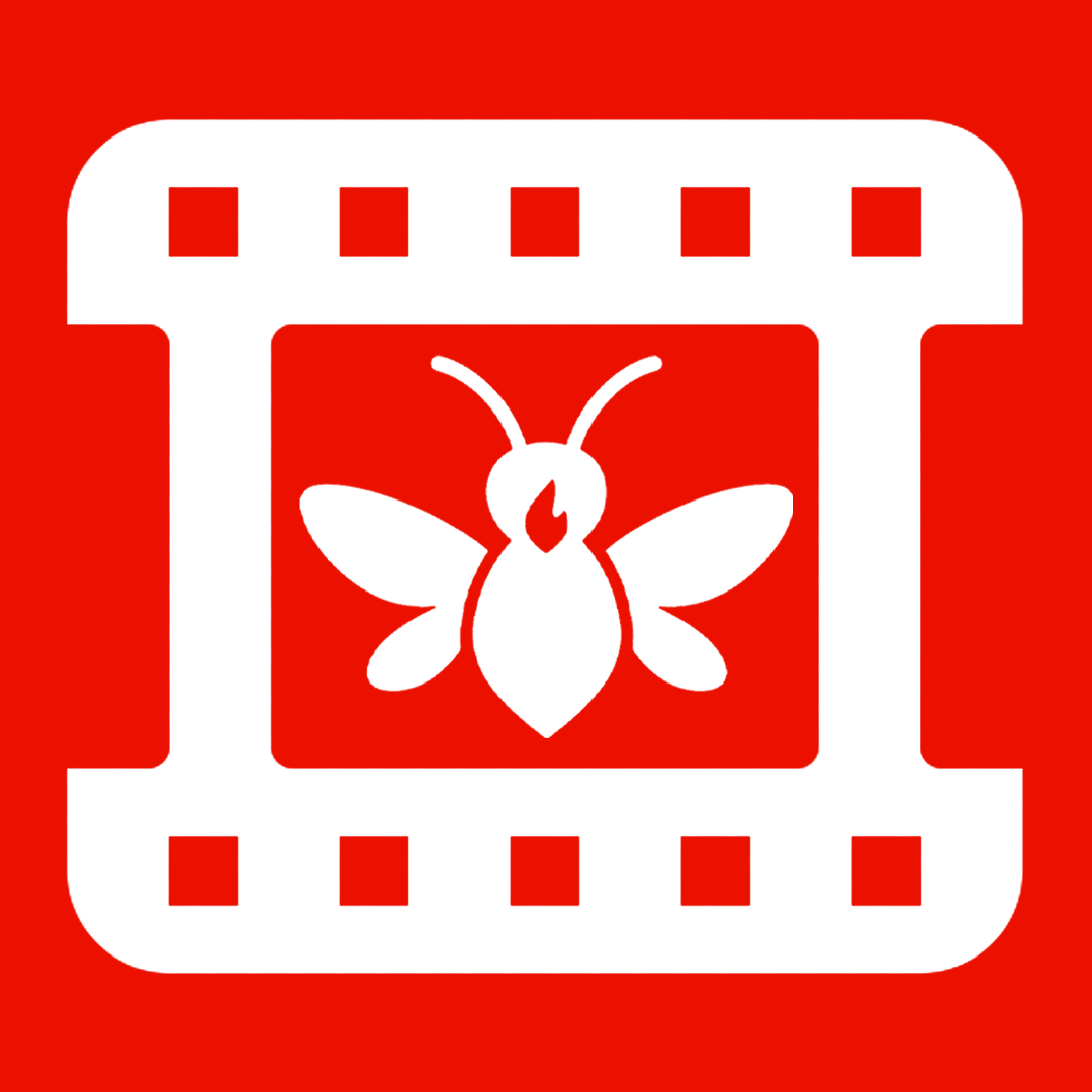 VideoFly logo