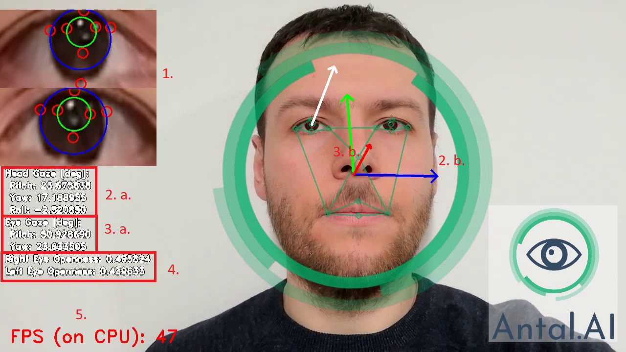 Antal.Ai Eye Gaze Tracker gallery image