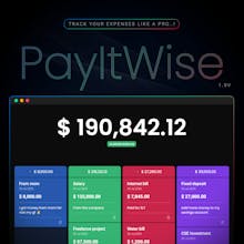 PayItWise gallery image