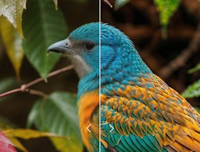 ClarityAI gallery image