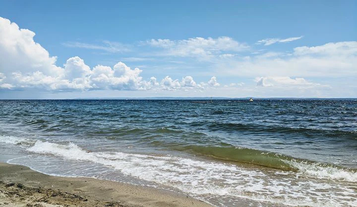 Roman Pliskovsky cover