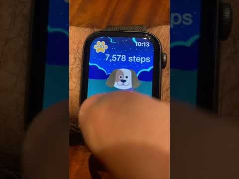 Puppy Walk gallery image