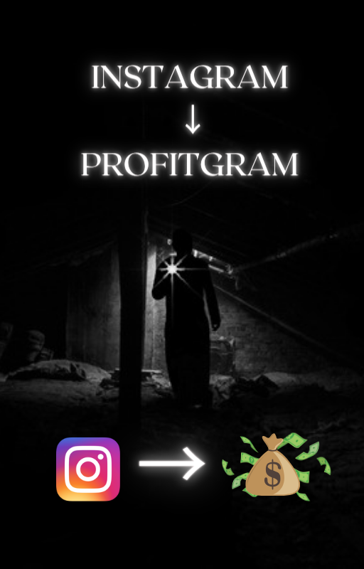 "Instaprofit" media 1