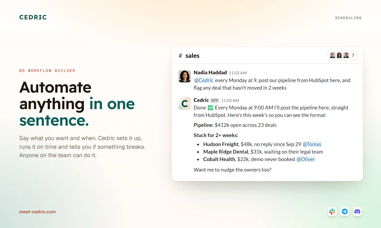 Cedric AI Teammate for Startups screenshot 3