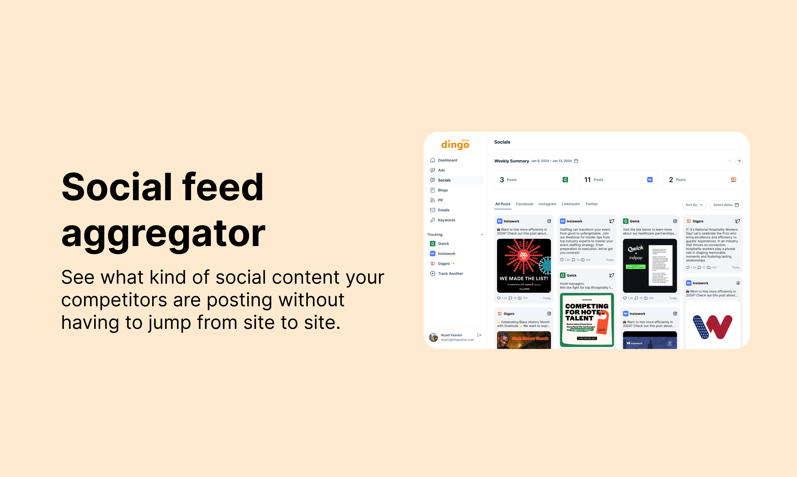 Dingo Dive gallery image