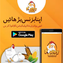 Poultry Baba gallery image