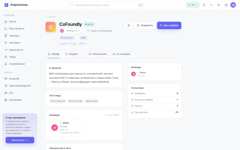 ProjectArena screenshot 5