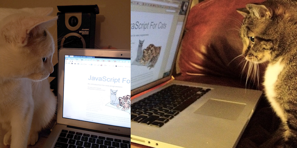 JavaScript For Cats - Product Information, Latest Updates, and Reviews ...