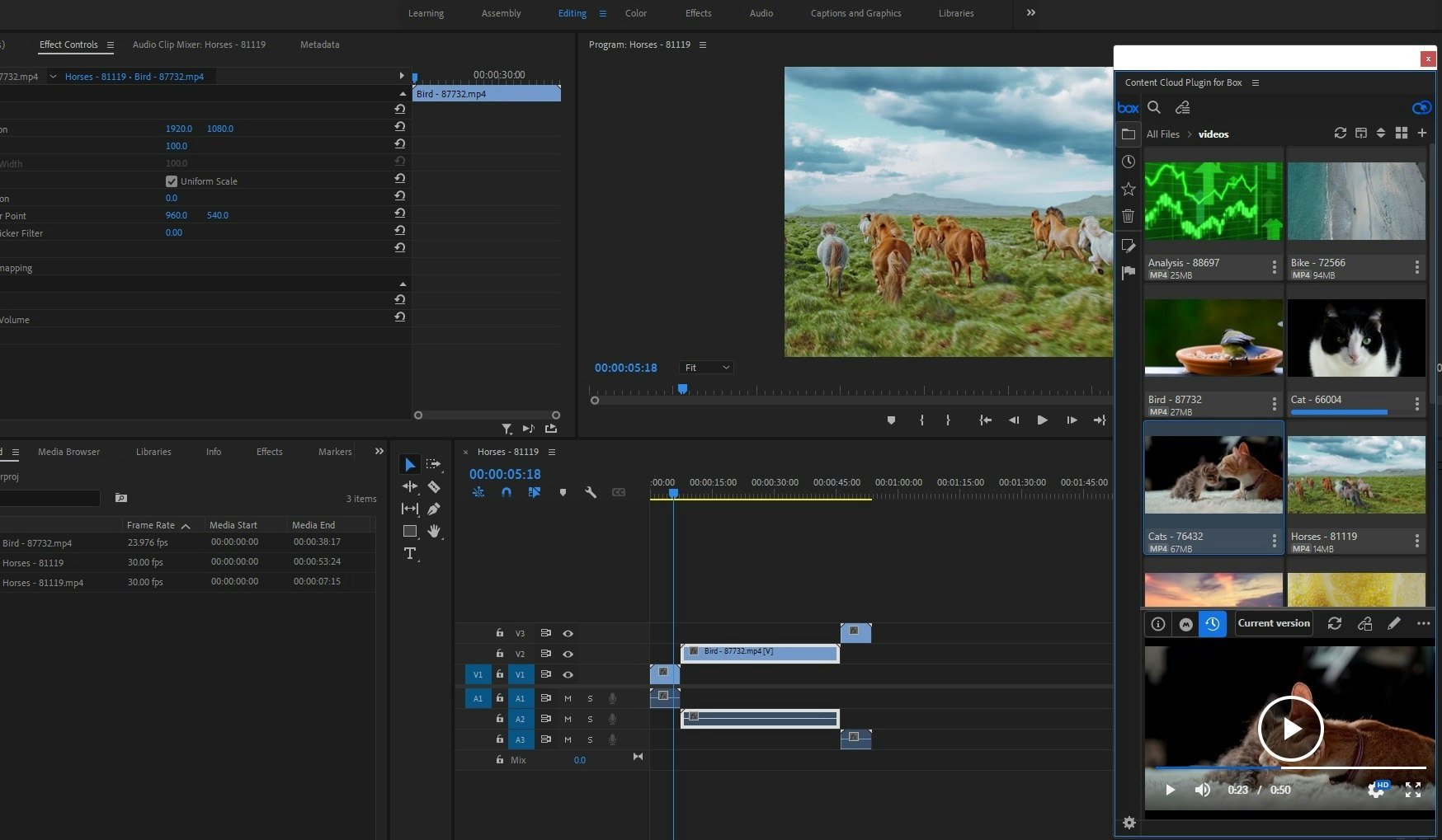 Content Cloud Plugin media 7