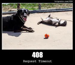 HTTP Status Cats gallery image