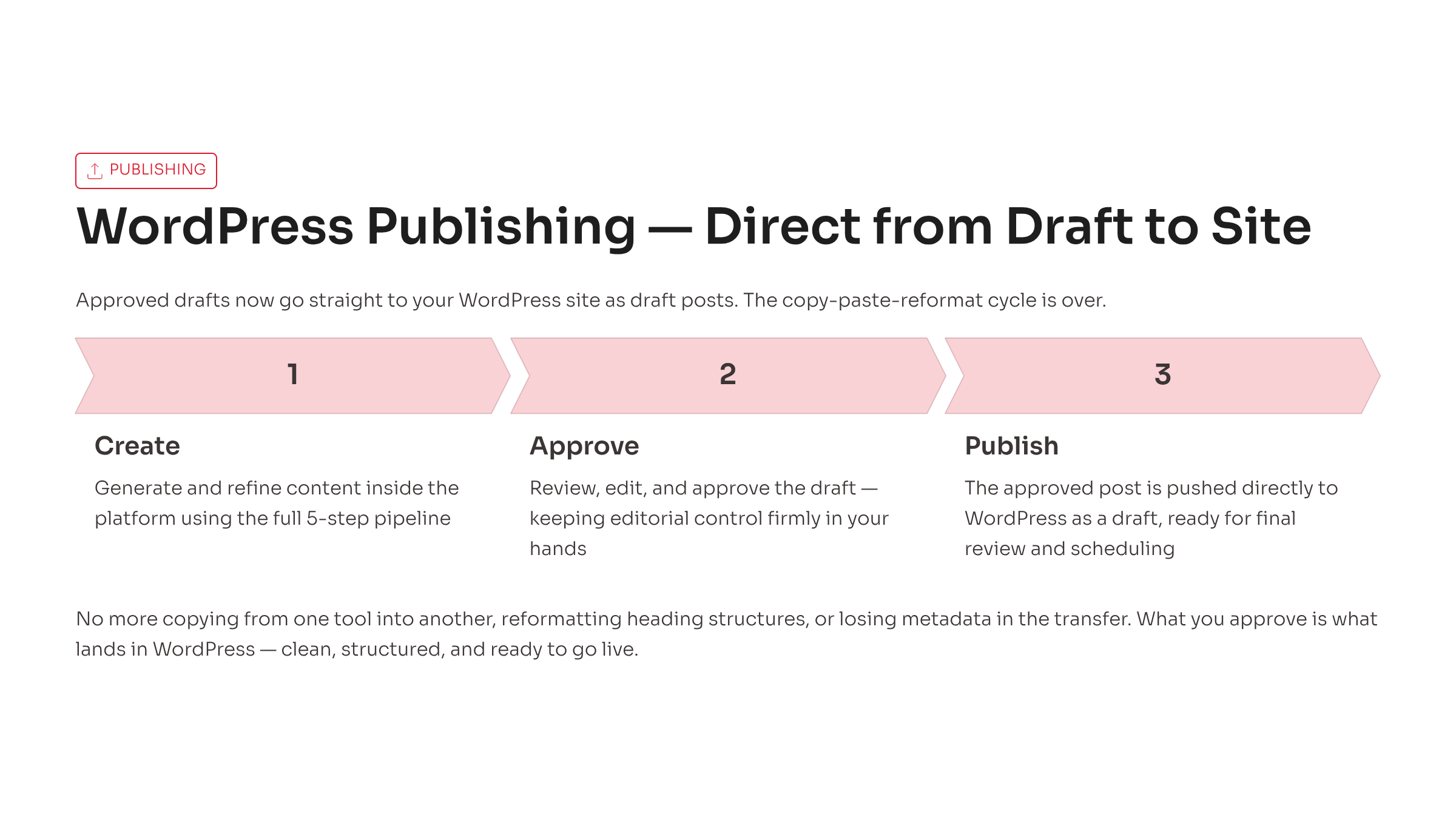 SeoAI 2.0  gallery image