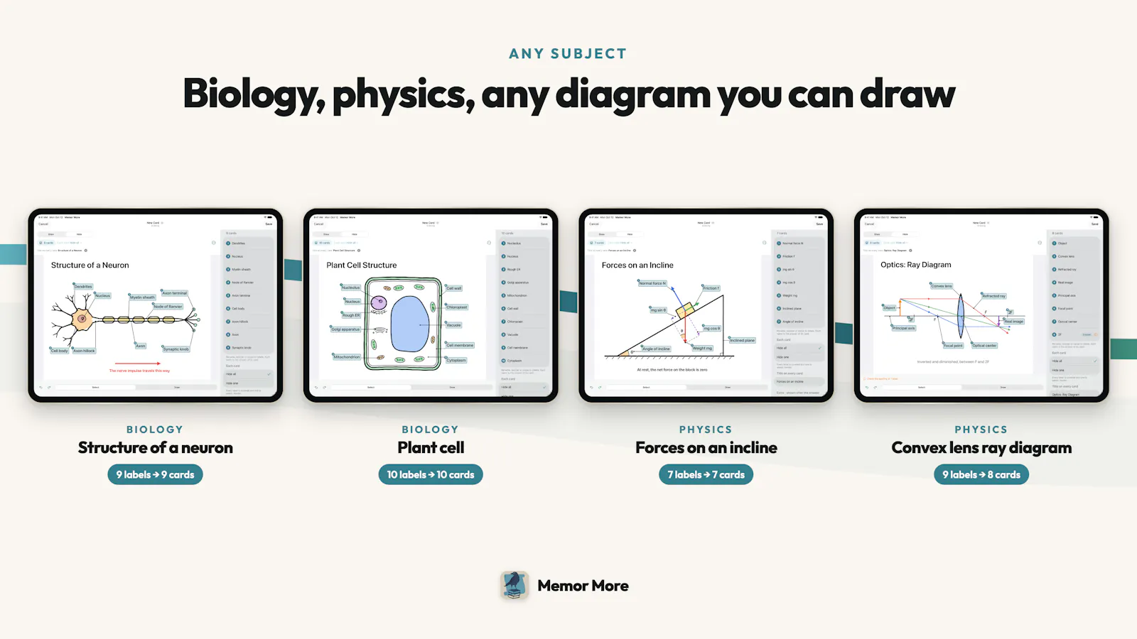 Memor More: Enhanced flashcards screenshot 4