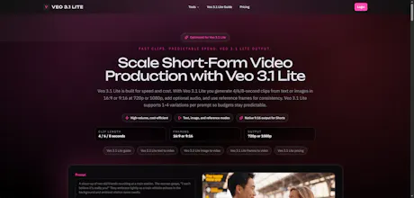 Veo 3.1 Lite gallery image
