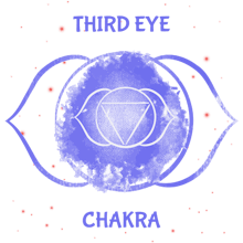 Zenland AR gallery image