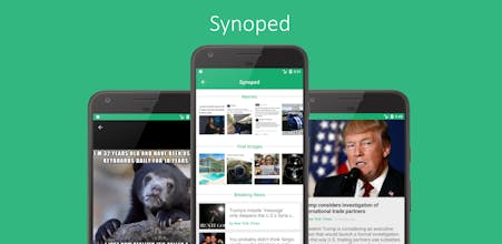 Synoped gallery image