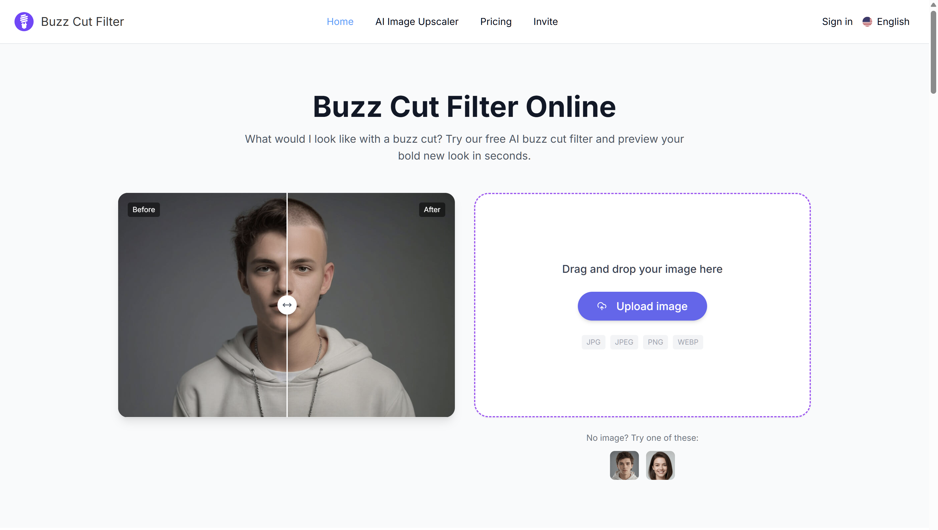 Buzz Cut Filter Online gallery image