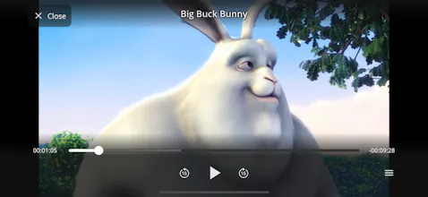 Vuko Player gallery image