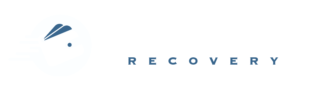 Cyberpointrecovery