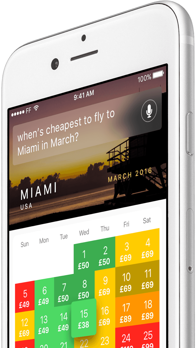 Amelia gallery image