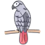 Vocavo