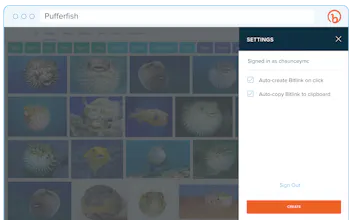 New Bitly Chrome Extension gallery image