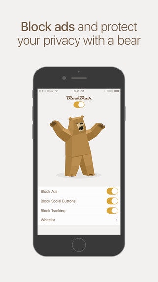 BlockBear gallery image