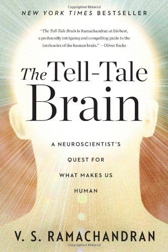 The Tell-Tale Brain media 1