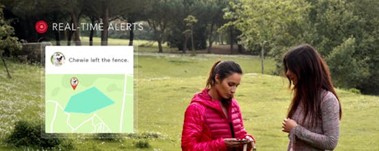 Findster gallery image