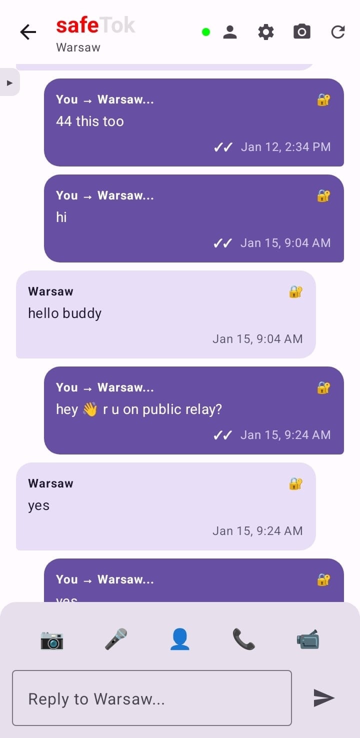 safeTok gallery image